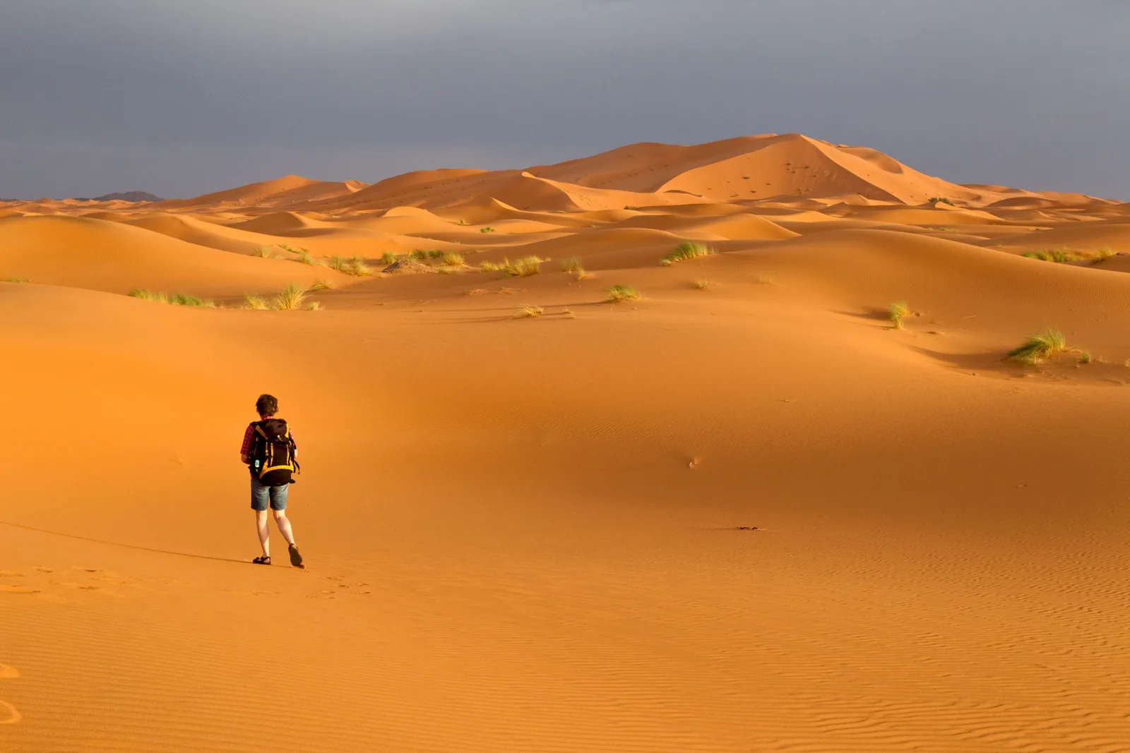 Traveller hiking across the Sahara dunes under a wide sky