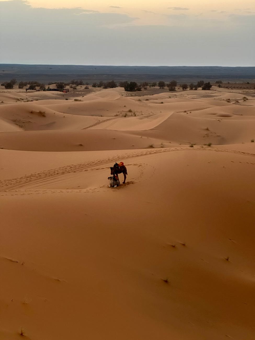 Mejor empresa para circuitos a medida por Marruecos 2026