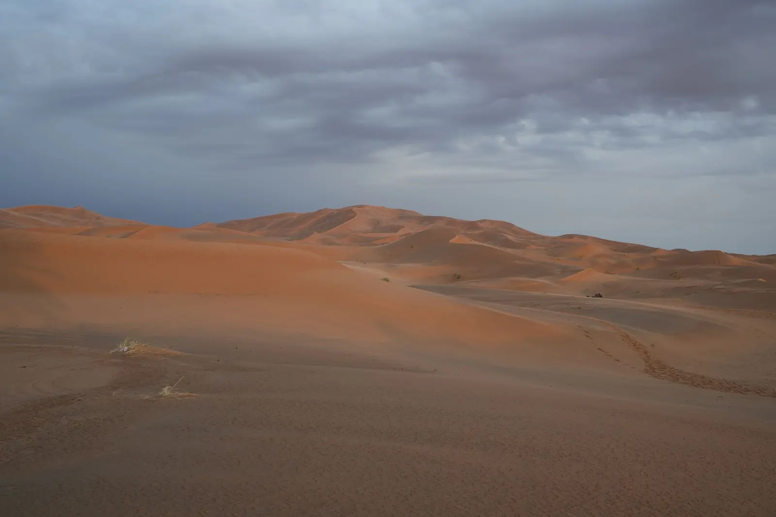 Dunes of Erg Chebbi under a cloudy sky at Merzouga