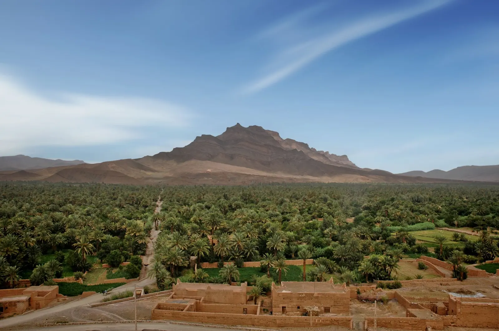 Palms and greenery of the Draa Valley against the dry plain