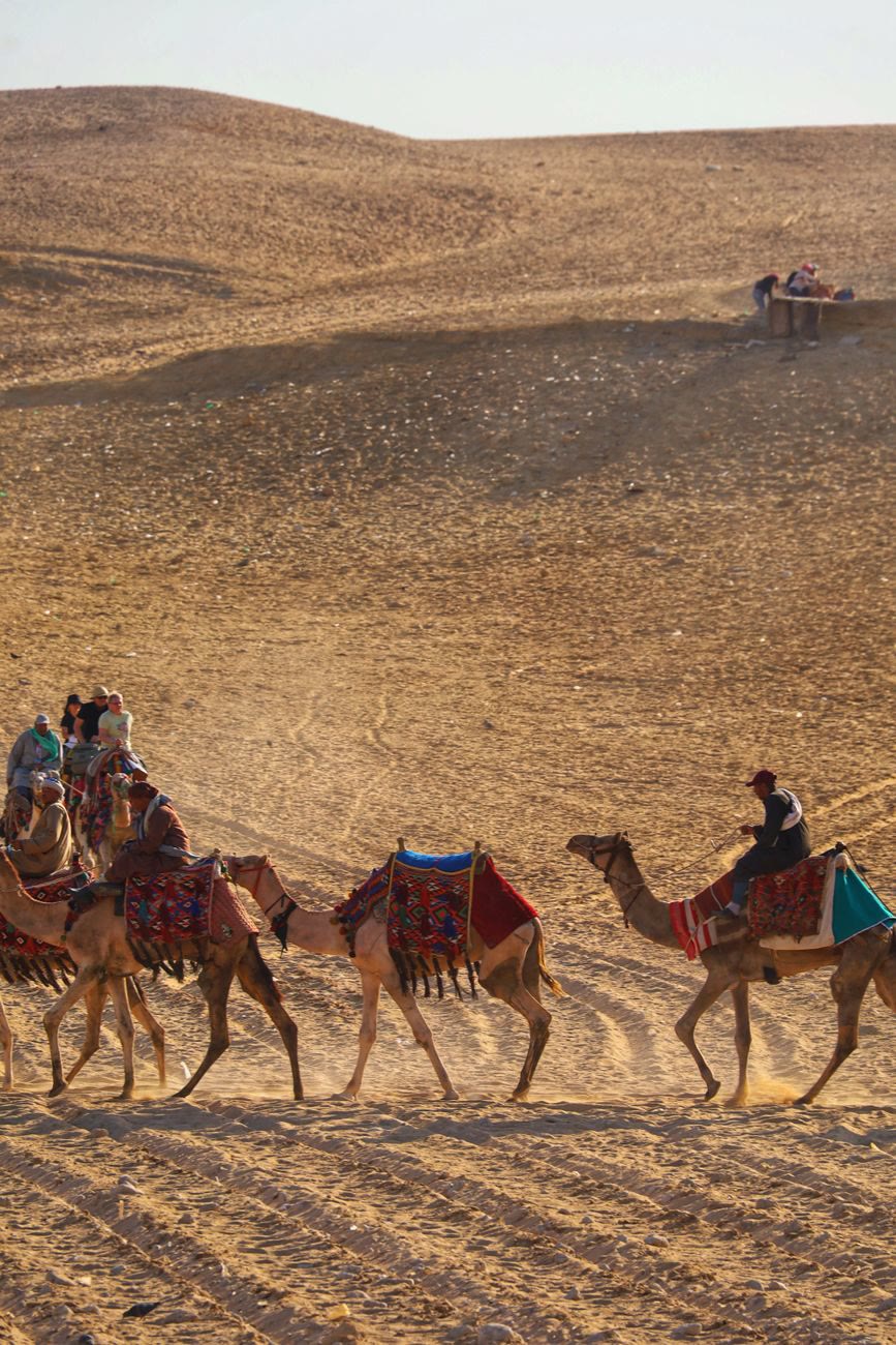 Escursione in quad e a dorso di cammello nel deserto di Agafay con Eddyafa Travel