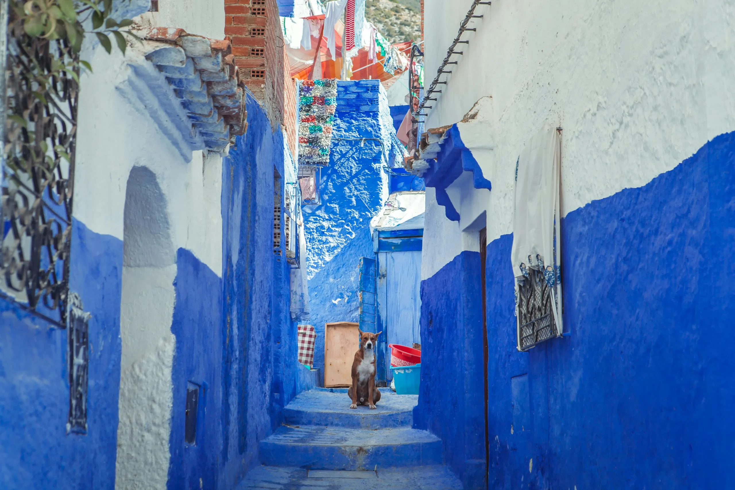 Exquisite 13-Day Morocco Package Tour from Tangier — 2