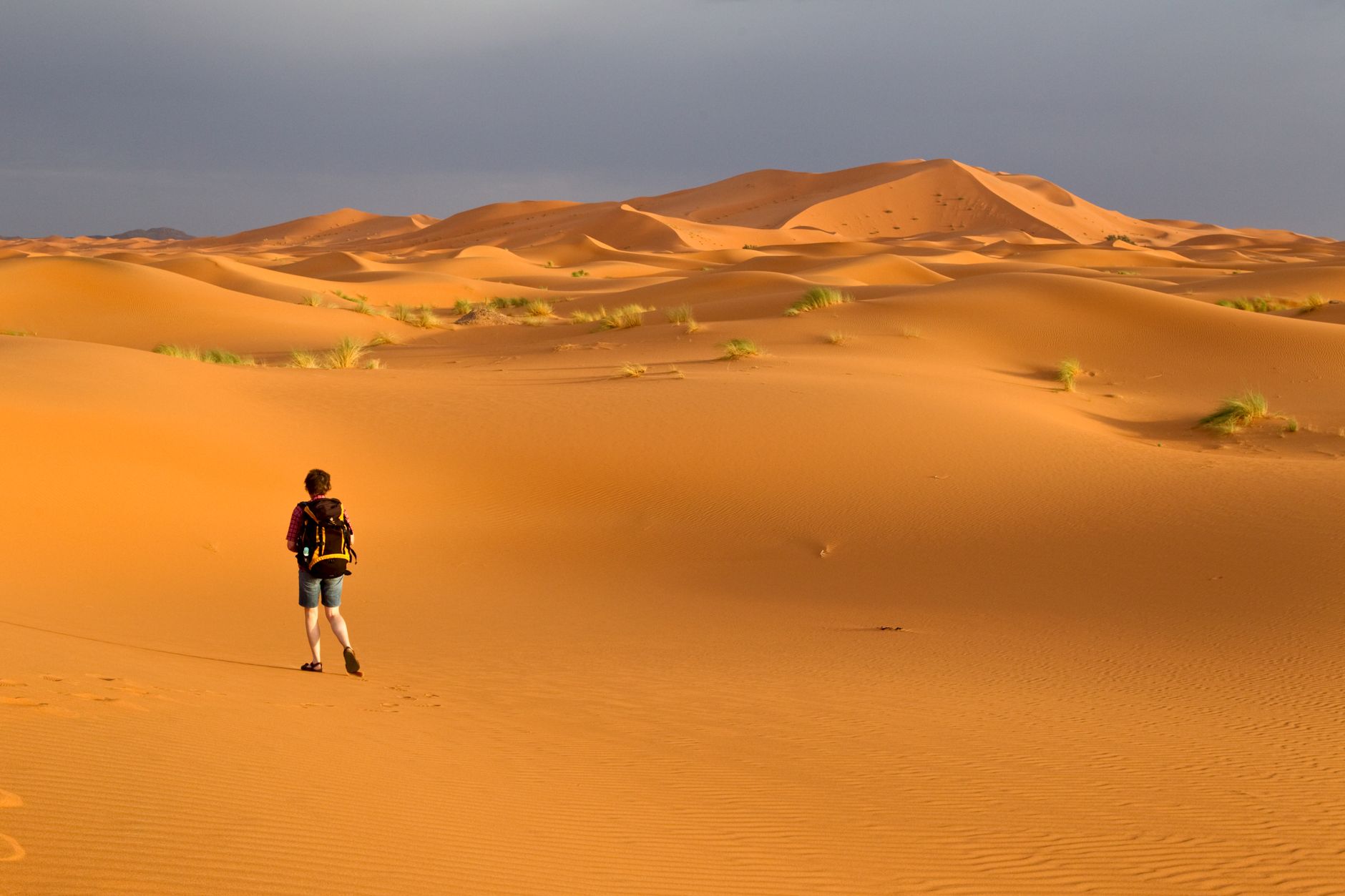 Carovana di cammelli nelle dune dell'Erg Chebbi