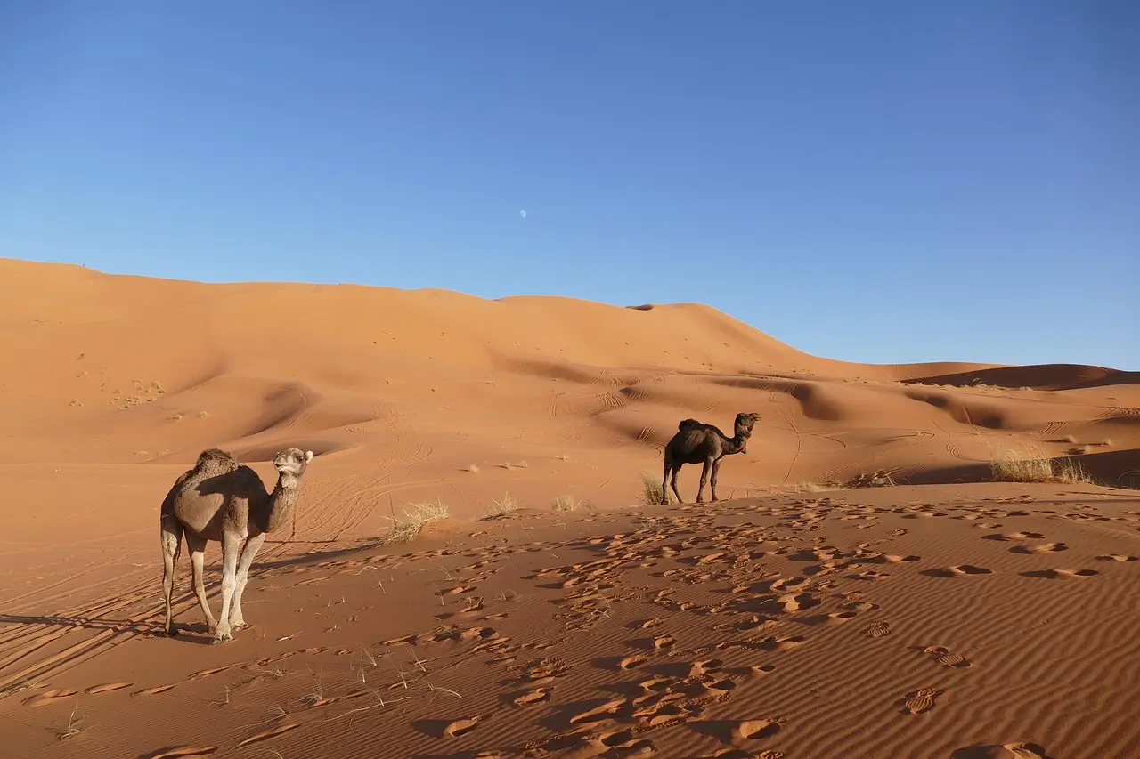 Marrakech to Fes Desert Tour 4 Days Expedition