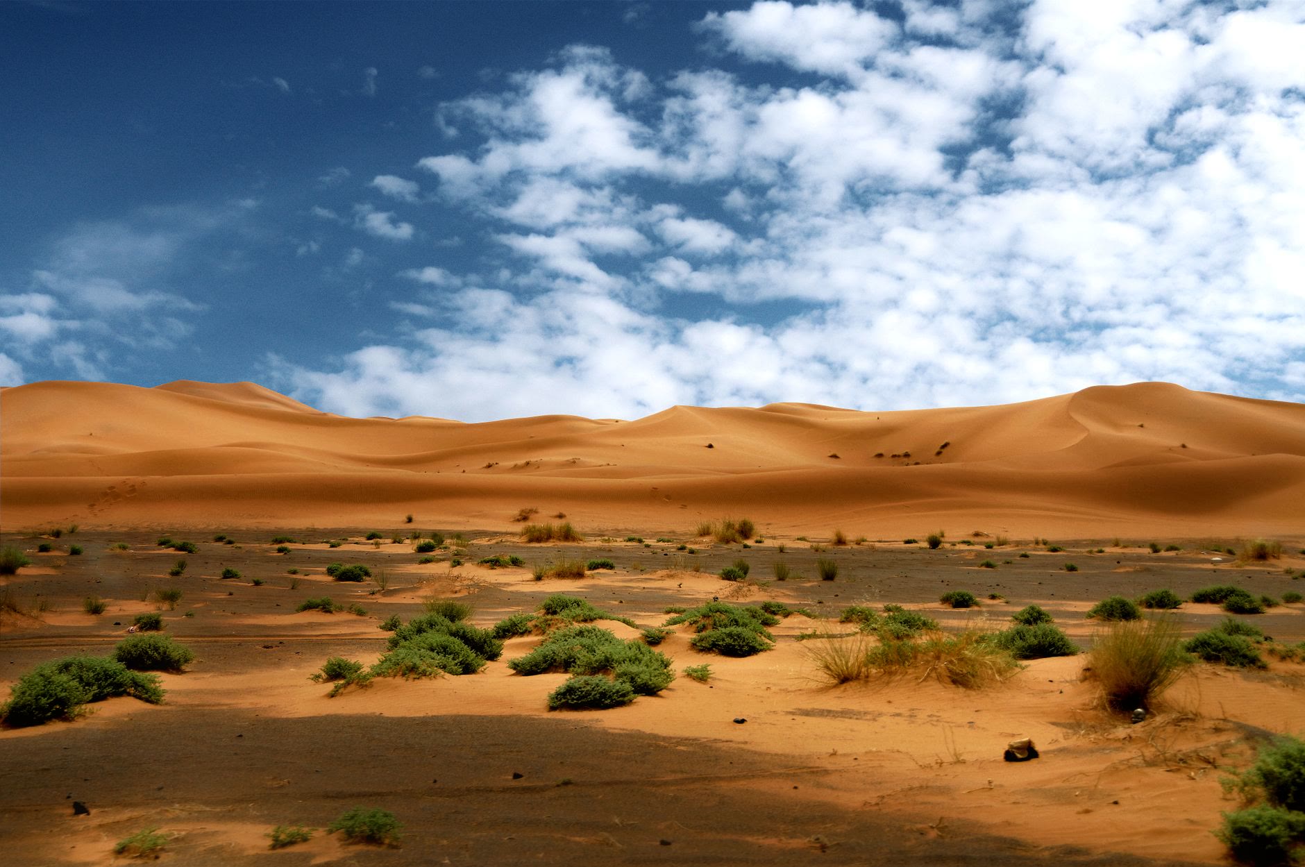 شاي مع البدو في قرى الصحراء