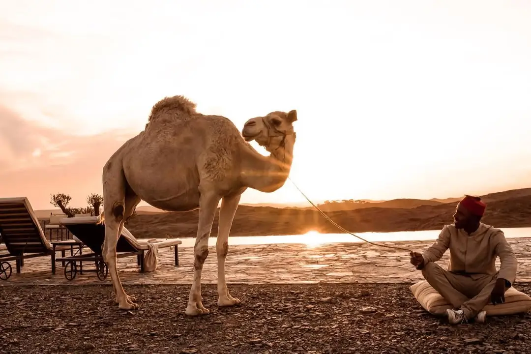 Luxury Agafay Desert Day Trip Escape with Starry Night Stay — 2