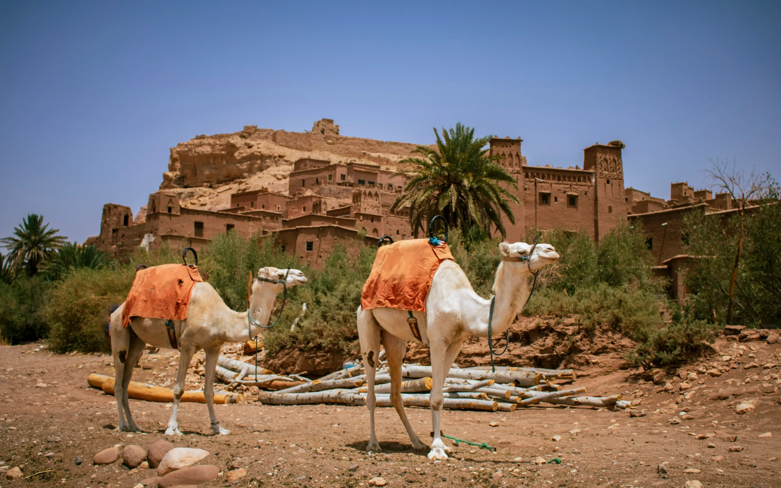 Magical 7 Day Morocco Travel Itinerary from Casablanca With Hidden Local Gems — 6