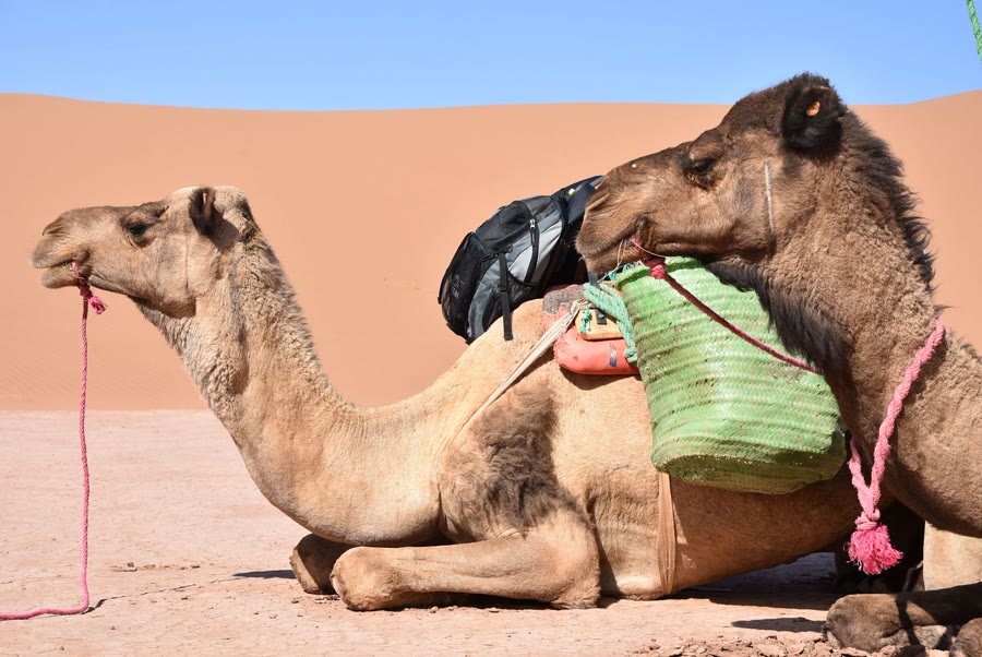 Morocco tour destination