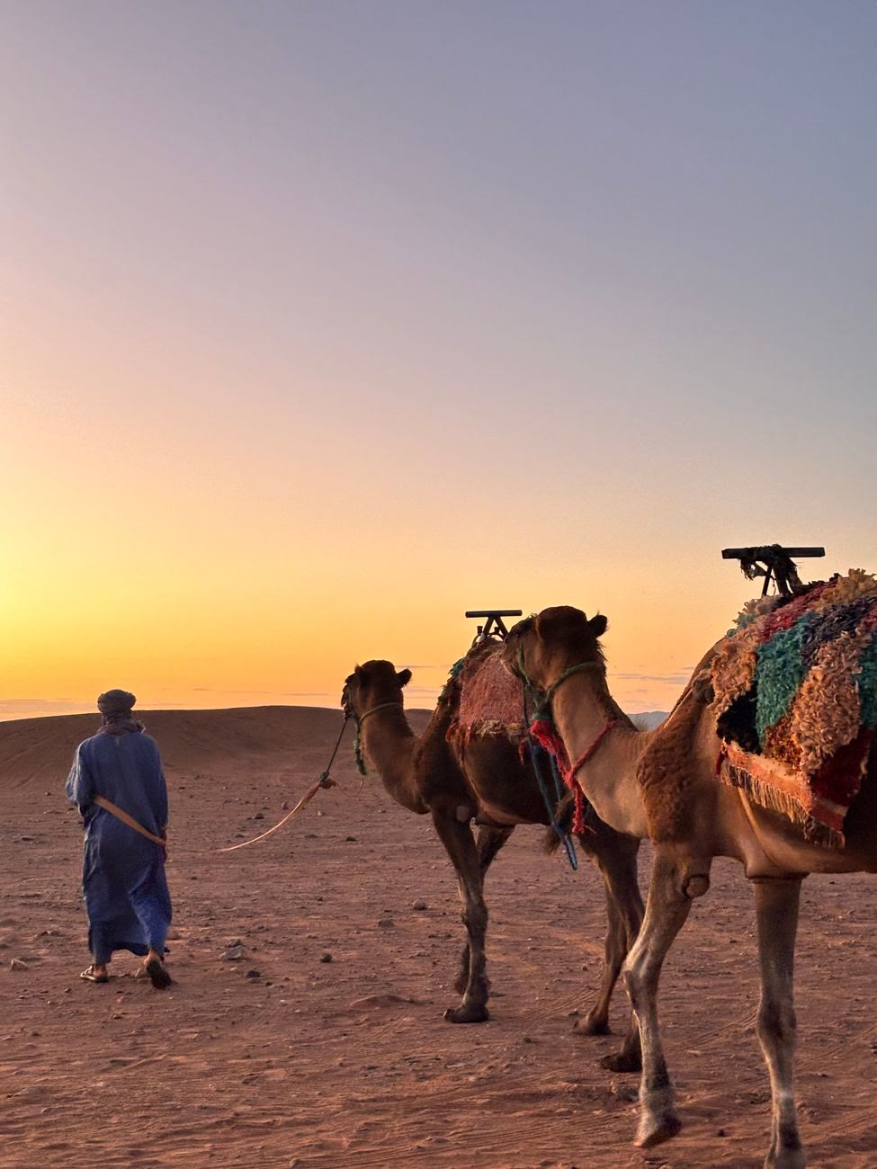 ركوب الجمال عند الغروب والشروق
