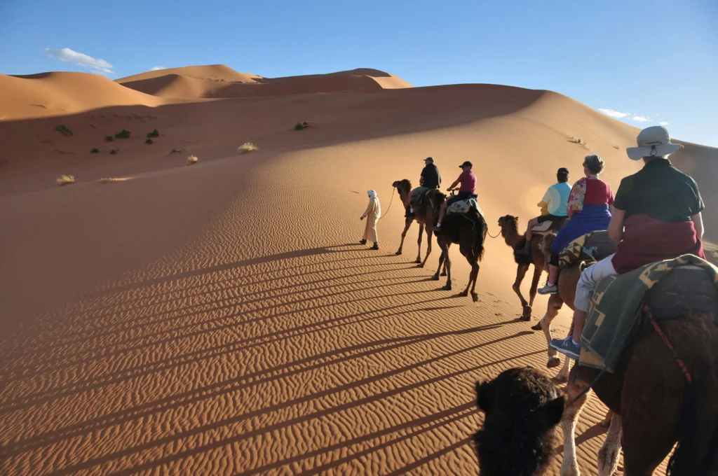 قافلة جمال تعبر كثيباً في الصحراء الكبرى