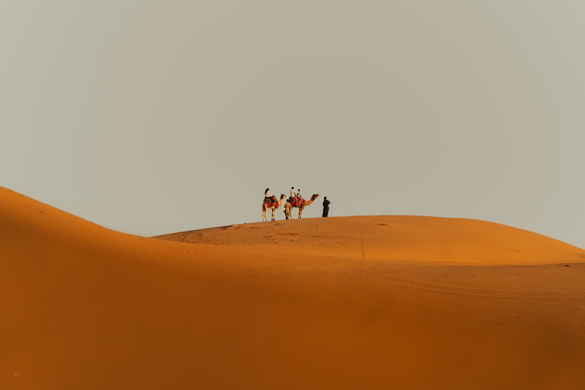 Tiendas de lujo dispuestas en un campamento del desierto