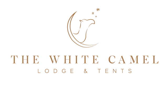 The whit Camel Agafay Lodges tents