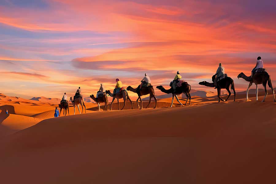 Eddyafa travel