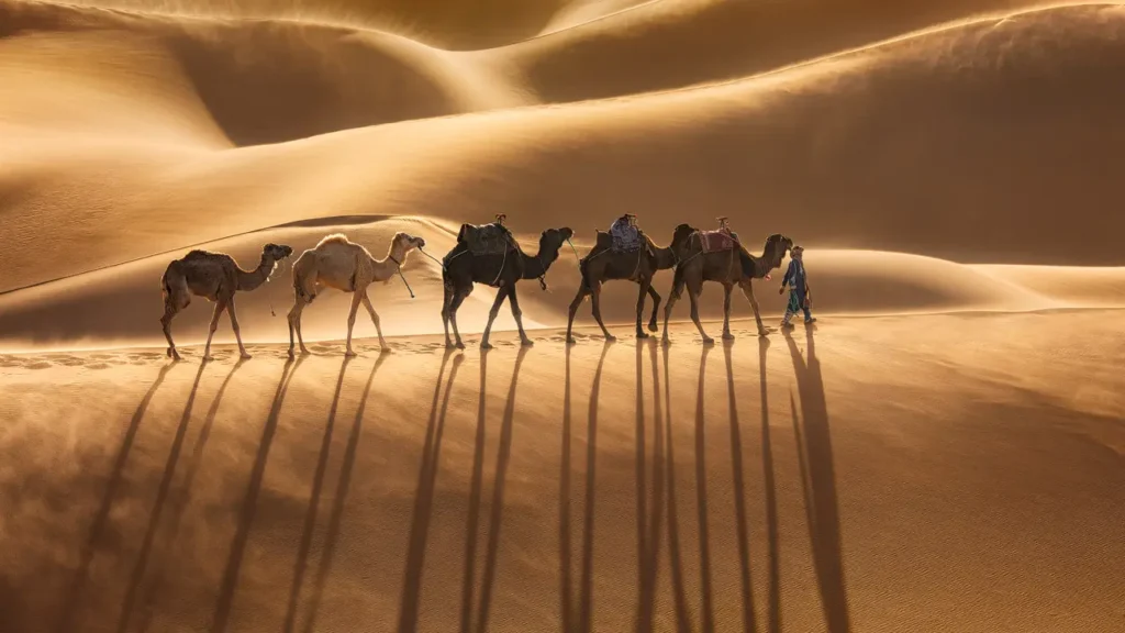 Camel trekking in the sahara desert on a 10-day Morocco itinerary
