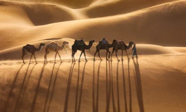 Camel trekking in the sahara desert on a 10-day Morocco itinerary