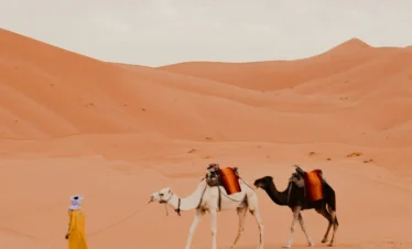 Camel caravan at sunset in Erg Chebbi on 3 days tour from Marrakech to Merzouga