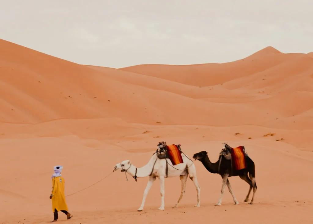 Best seasons solo female travel Morocco climate guide