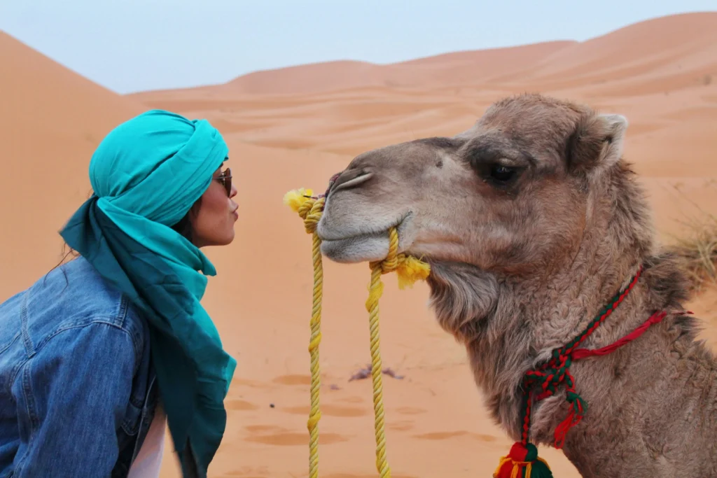 Morocco tours signature experiences desert luxury imperial cities guided adventures