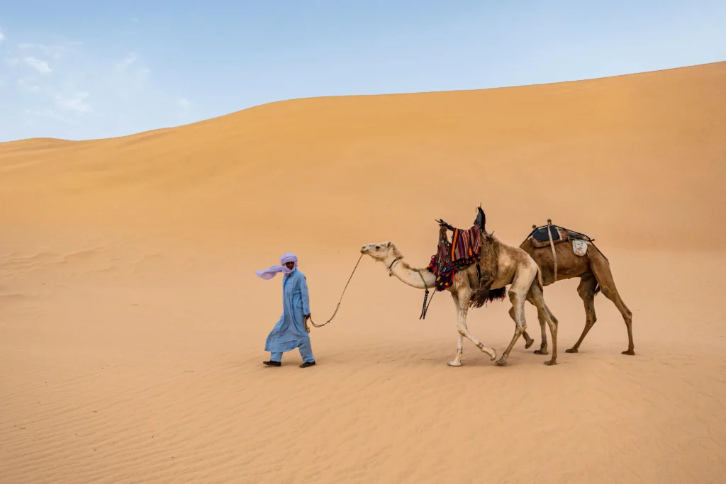 Tourists riding camels across Erg Chebbi dunes at sunset in Merzouga