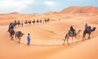 Camel caravan on luxury Sahara desert tour from Marrakech
