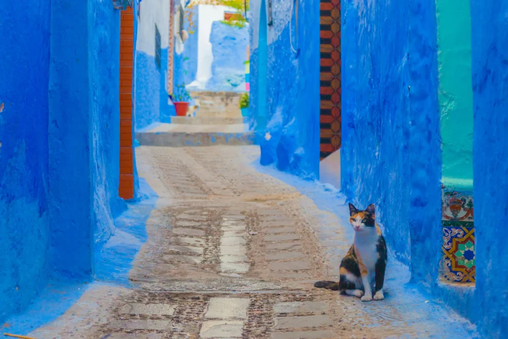 Where to Stay in Chefchaouen
