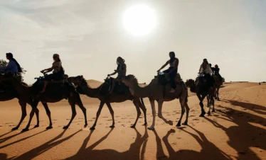 Sahara Desert Morocco camel caravan at sunset