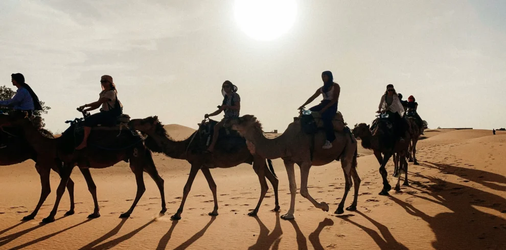 Sahara Desert Morocco camel caravan at sunset
