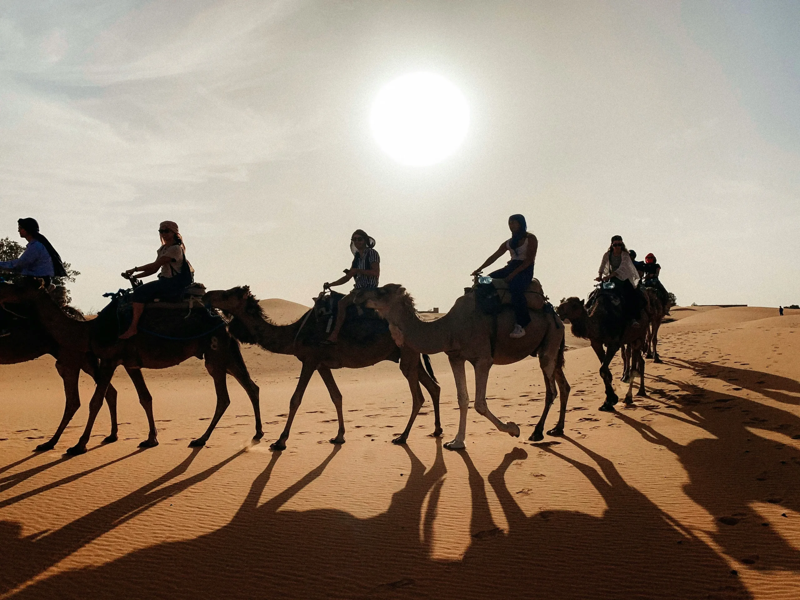 Sahara Desert Morocco camel caravan at sunset