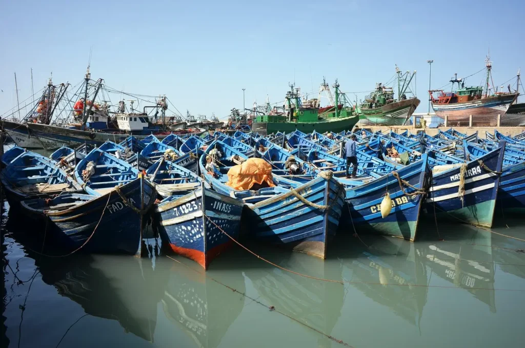 Seaside view of Essaouira medina and fishing port
