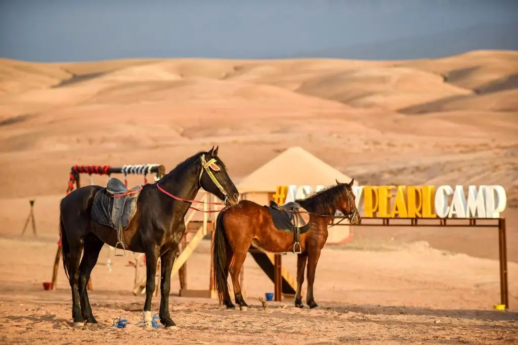 Agafay desert landscape rocky terrain Atlas Mountains Morocco luxury