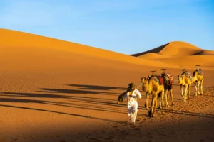 : Things to do in Morocco Sahara desert camel trekking adventure