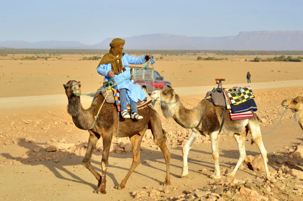 3 day desert tour Marrakech to Fes camel trek