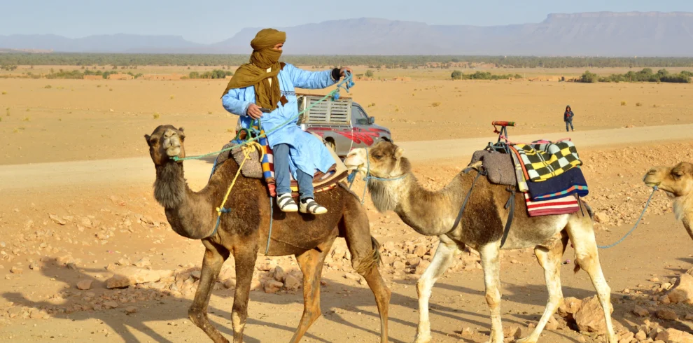 3 day desert tour Marrakech to Fes camel trek