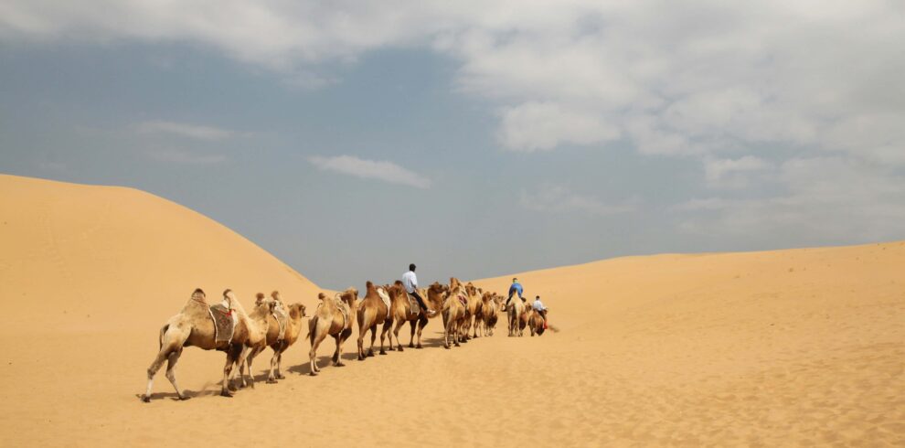 2 days desert tour from Marrakech to Merzouga camel ride