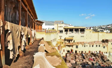Fes leather tanneries Morocco tour package experience